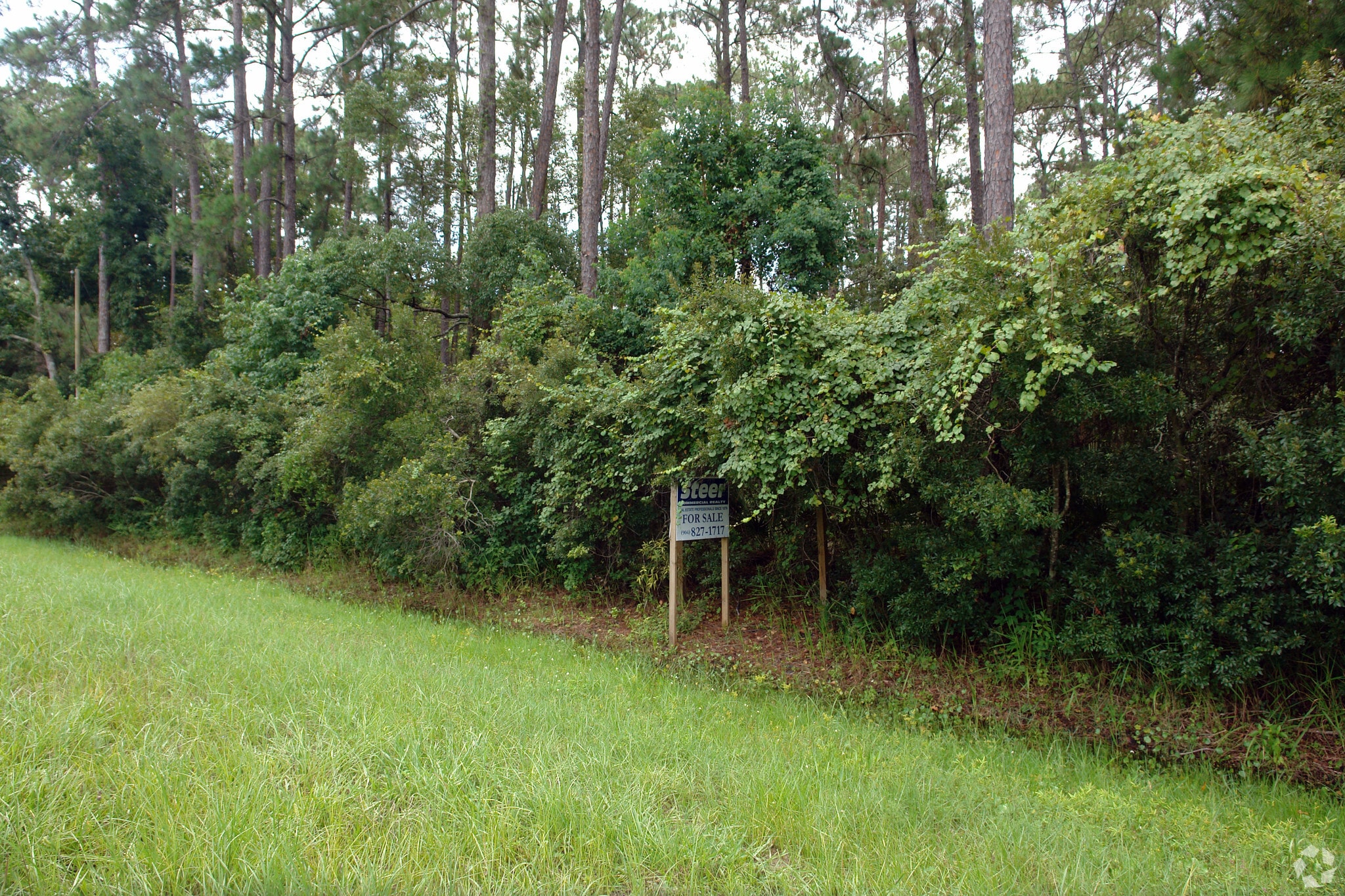 1585 SR 16, Saint Augustine, FL à vendre Photo principale– Image 1 sur 18