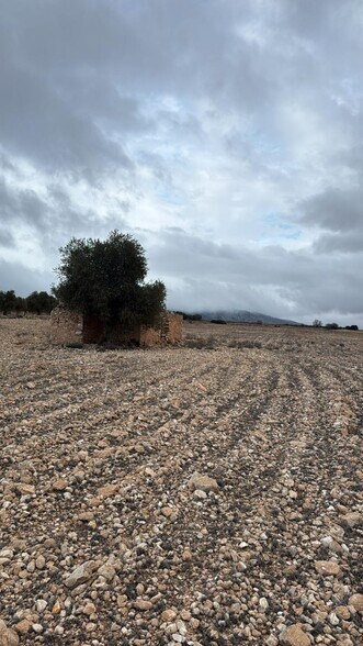 Terrain dans Yecla, Murcia à vendre - Photo de l’immeuble – Image 1 sur 7