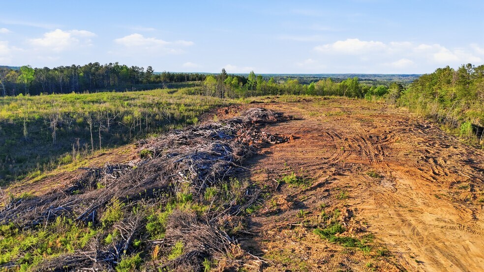 0 Highway 269, Parrish, AL à vendre - Aérien – Image 2 sur 16