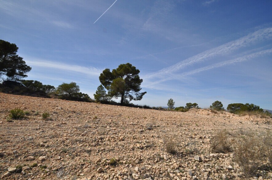 Terrain dans Jumilla, Murcia à vendre - Plan de site – Image 2 sur 23