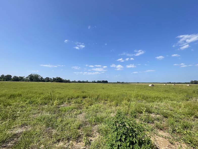 17192 Co 21 rd, Marion Junction, AL à vendre - Photo de l’immeuble – Image 1 sur 16
