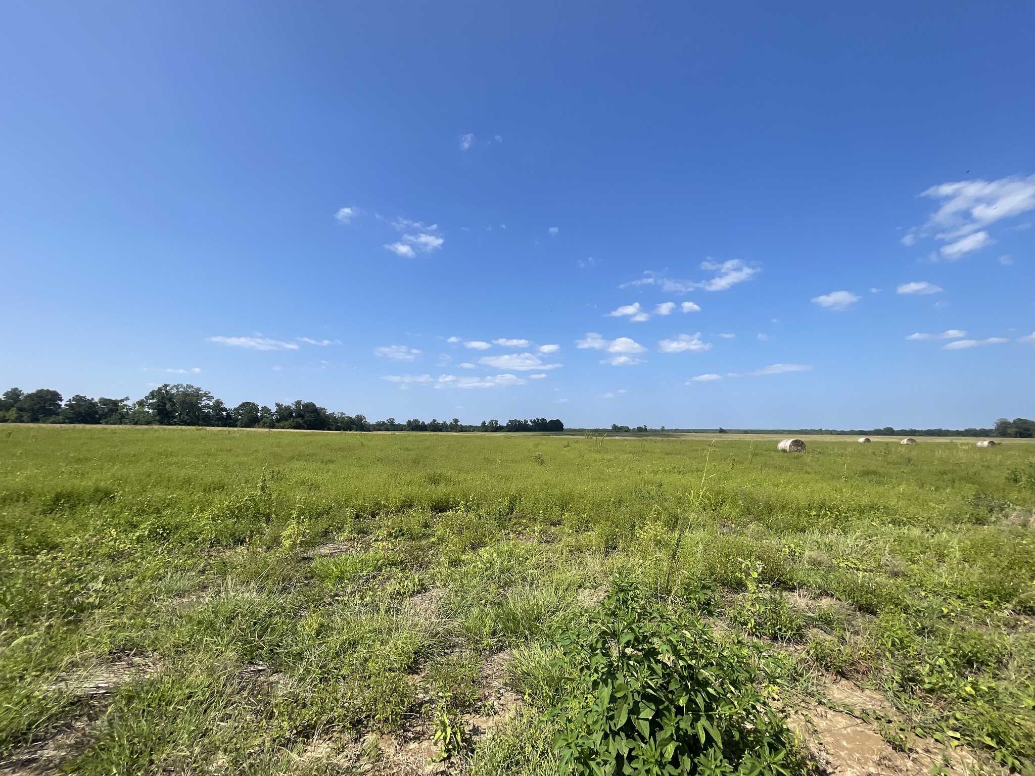 17192 Co 21 rd, Marion Junction, AL à vendre Photo de l’immeuble– Image 1 sur 17