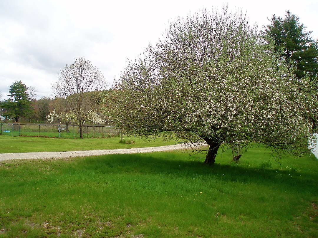 View Photo