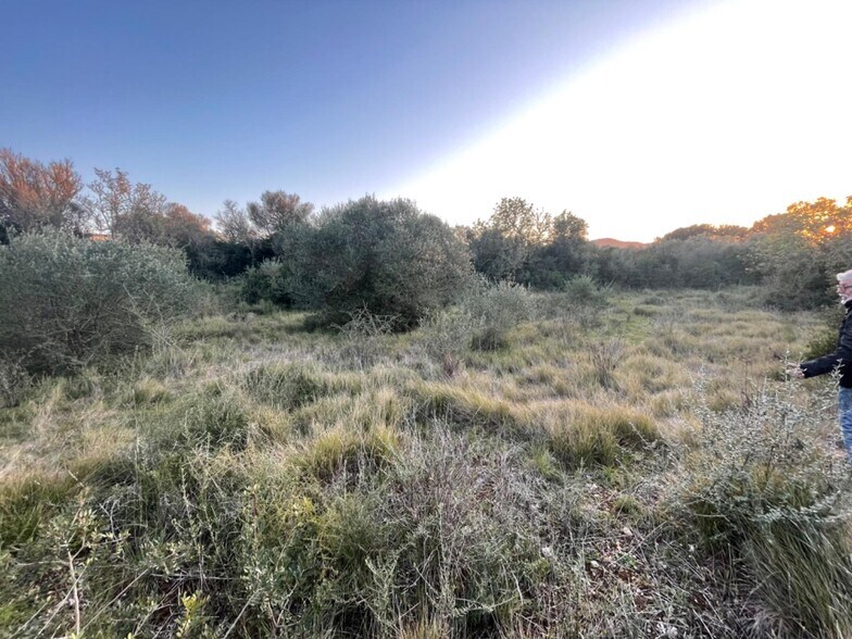 Terrain dans Manacor à vendre - Plan de site – Image 2 sur 6