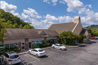 Plus de détails pour 115 Allensville Rd, Sevierville, TN - Bureau à louer