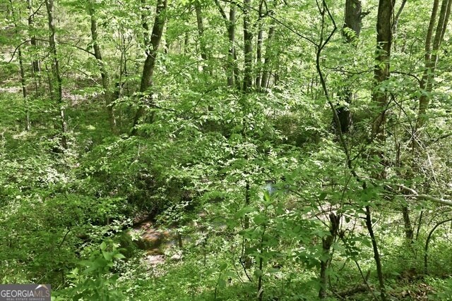 3120 W Currahee St, Toccoa, GA à vendre - Photo de l’immeuble – Image 3 sur 25