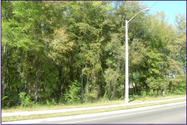 113 NW 145th Ter, Jonesville, FL à vendre - Photo de l’immeuble – Image 3 sur 6