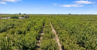 Plus de détails pour Cherry Ave, Fresno, CA - Terrain à vendre