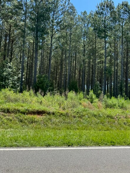 01 Crowders Mountain Rd, Kings Mountain, NC 28086 Hwy, Bessemer City, NC à vendre - Photo de l’immeuble – Image 2 sur 5