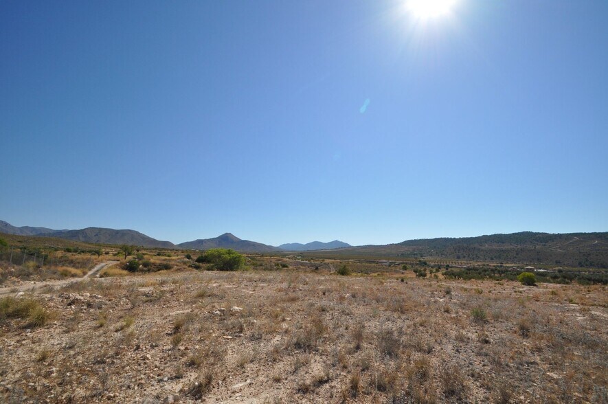Terrain dans Abanilla, Murcia à vendre - Photo de l’immeuble – Image 3 sur 14
