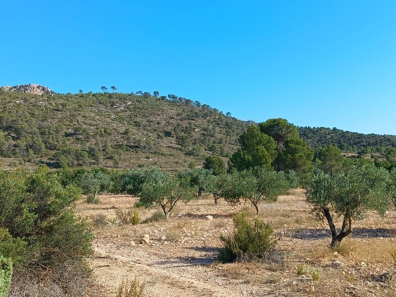 Terrain dans Yecla, Murcia à vendre - Aérien – Image 2 sur 3