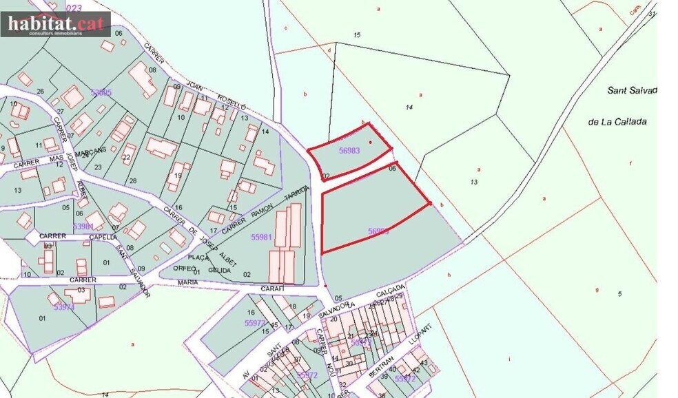 Sant Salvador de la Calçada portefeuille de 2 biens à vendre sur LoopNet.fr - Plan cadastral – Image 3 sur 3