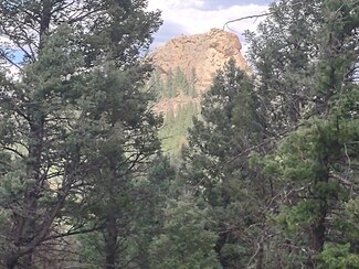 Plus de détails pour 1176 Trail Creek Rd, Lake George, CO - Terrain à vendre