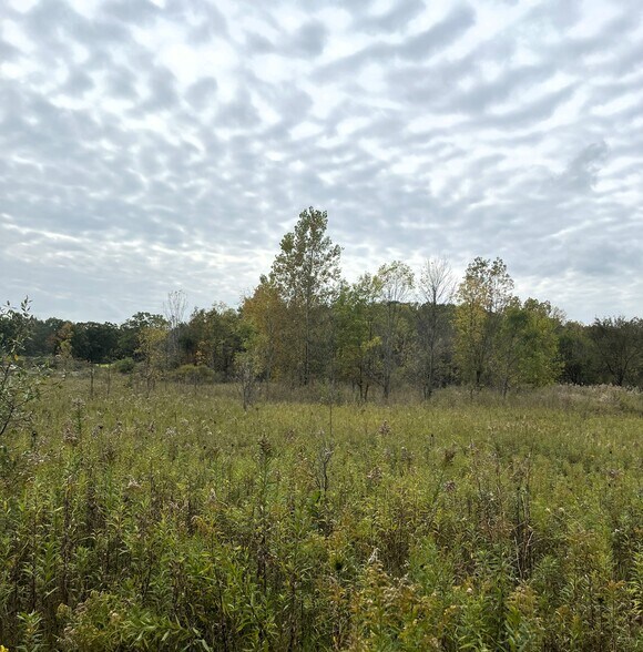 0 Whitmore Lake Rd, Whitmore Lake, MI à vendre - Photo de l’immeuble – Image 3 sur 5