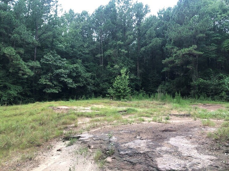 TBD CR 1784 ± 49.11, Jefferson, TX à vendre - Photo de l’immeuble – Image 3 sur 4