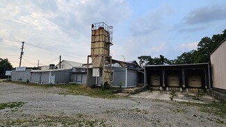 Plus de détails pour 12 E Forest Ave, Ypsilanti, MI - Industriel/Logistique à vendre