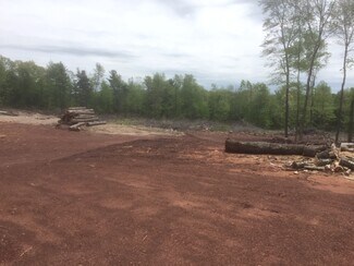 Plus de détails pour 20 Old Birch Rd, Union, CT - Terrain à vendre