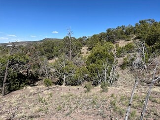Plus de détails pour Double Tree Lane, Eagar, AZ - Terrain à vendre