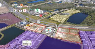 Plus de détails pour SR 54 & Sunlake Blvd, Lutz, FL - Terrain à louer
