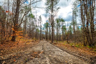 Plus de détails pour 40 E Putney Brook Rd, Putney, VT - Terrain à vendre