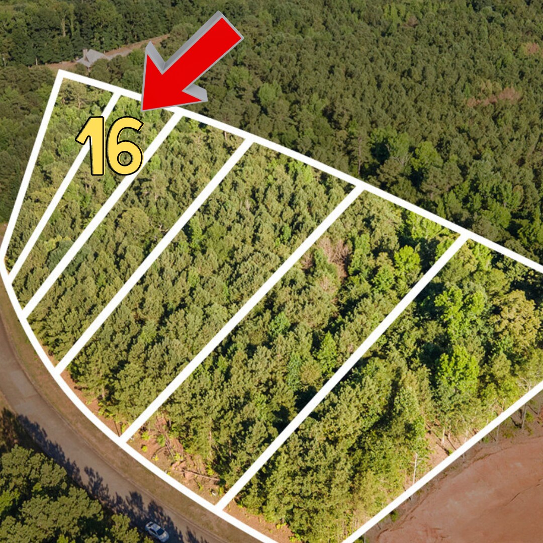 1030 Queens Bridge Way, Griffin, GA à vendre Aérien– Image 1 sur 15