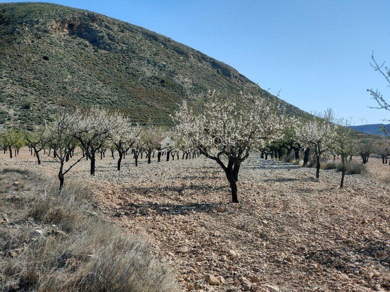 Terrain dans Orihuela, Alicante à vendre - Photo principale – Image 3 sur 11