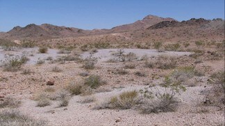 Plus de détails pour Hwy 68, Bullhead City, AZ - Terrain à vendre