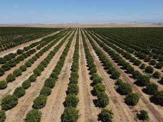 Plus de détails pour 23762 Road 602, Madera, CA - Terrain à vendre