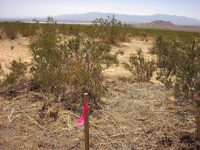 Blanco Rd, El Mirage, CA à louer - Photo de l’immeuble – Image 1 sur 30