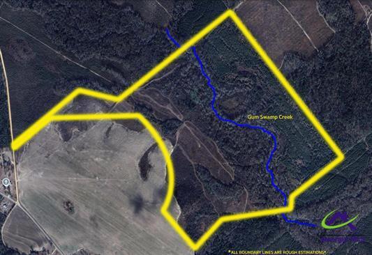 191 Acres Bethel Church Road, Eastman, GA à vendre - Aérien – Image 2 sur 20