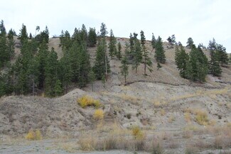 Plus de détails pour 7329 Douglas Lake Rd, Thompson-Nicola, BC - Terrain à vendre