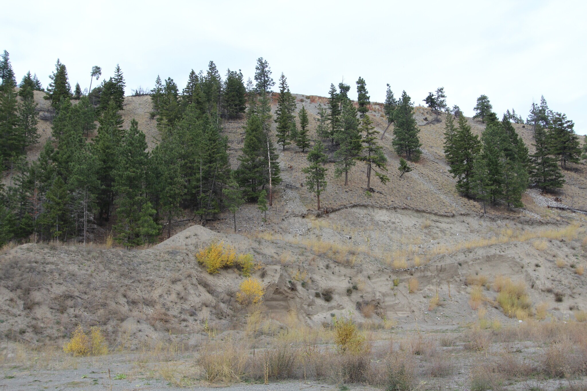 7329 Douglas Lake Rd, Thompson-Nicola, BC à vendre Photo principale– Image 1 sur 5