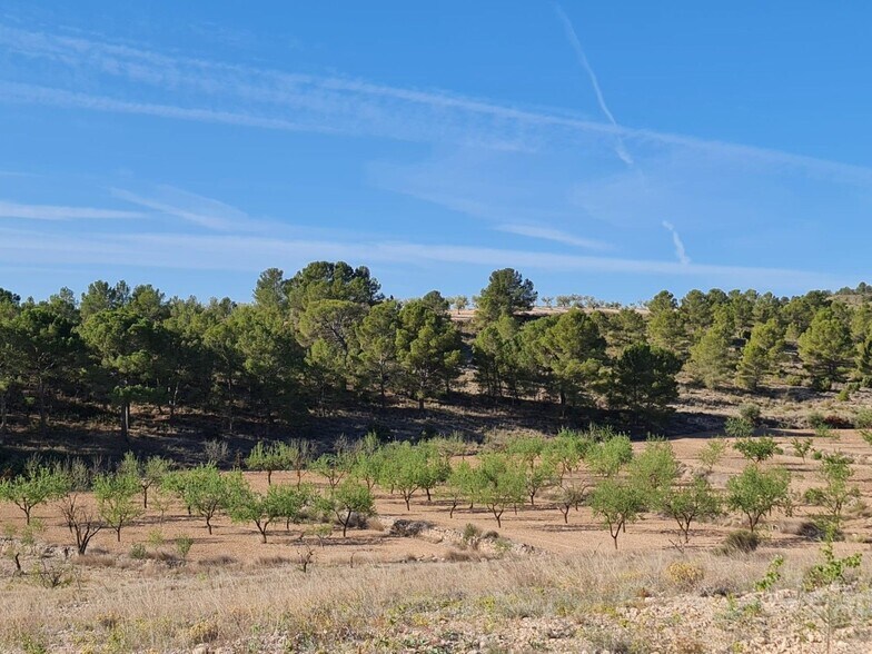 Terrain dans Yecla, Murcia à vendre - Photo principale – Image 1 sur 15