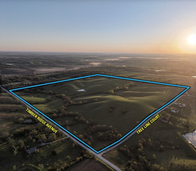 Timber Ridge Ave, Van Meter, IA à vendre - Photo de l’immeuble – Image 2 sur 4