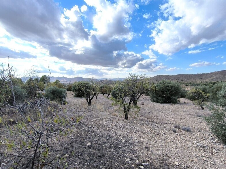 Terrain dans MURCIA à vendre - Photo principale – Image 2 sur 9