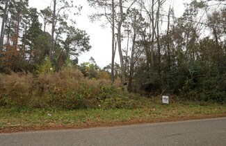 Plus de détails pour 27300 Dobbin Huffsmith Rd, Magnolia, TX - Terrain à vendre