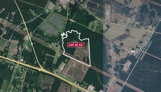 Plus de détails pour 0 Old 87 Hwy, Riegelwood, NC - Terrain à vendre
