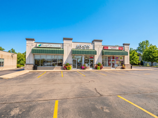Plus de détails pour 4643 Alpine Ave NW, Comstock Park, MI - Local commercial à louer