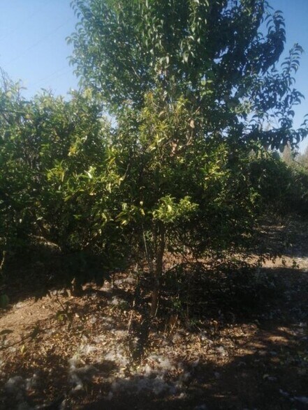 Frente Carrefour, Castellon, Castelló de la Plana, Castellón à vendre - Photo de l’immeuble – Image 2 sur 3