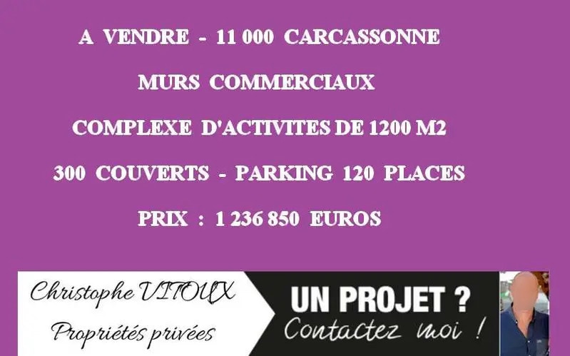 Local d'activités dans Carcassonne à vendre - Photo de l’immeuble – Image 1 sur 6