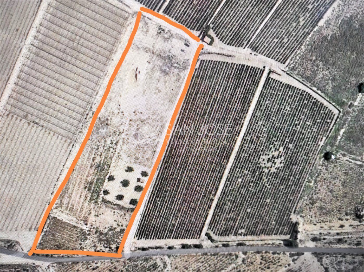 Terrain dans Novelda, Alicante à vendre Aérien– Image 1 sur 2
