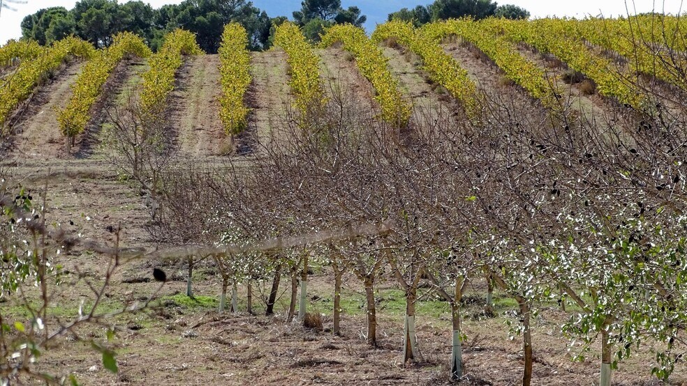 Pocido, La Font de la Figuera, Valencia à vendre - Photo de l’immeuble – Image 3 sur 21