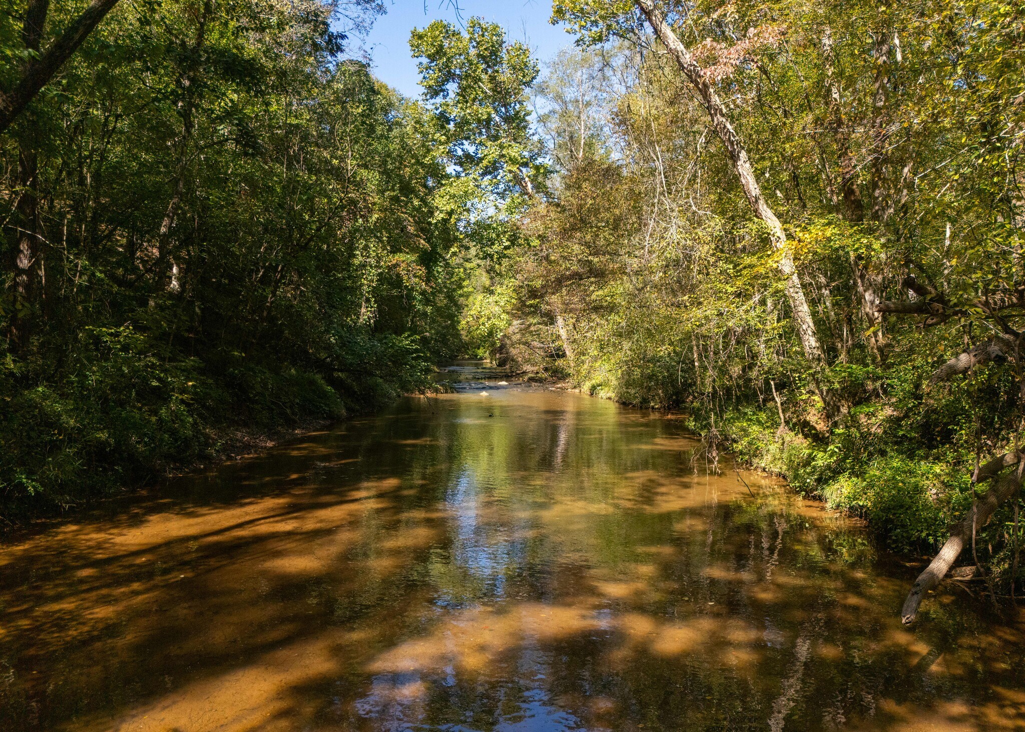 501 Caldwell Rd, Blacksburg, SC à vendre Photo principale– Image 1 sur 16