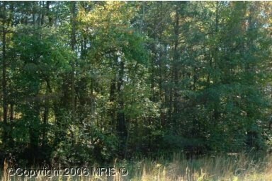 7910 Colonial Ln, Clinton, MD à vendre - Photo de l’immeuble – Image 2 sur 2