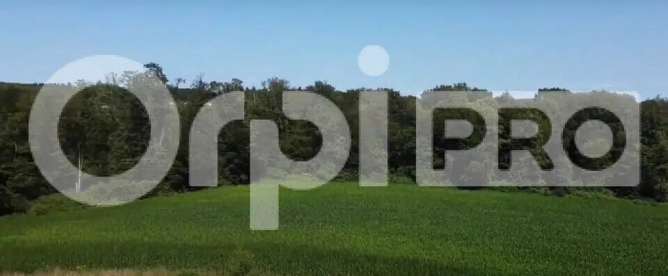 Industriel/Logistique dans Limoges à vendre - Photo de l’immeuble – Image 1 sur 14