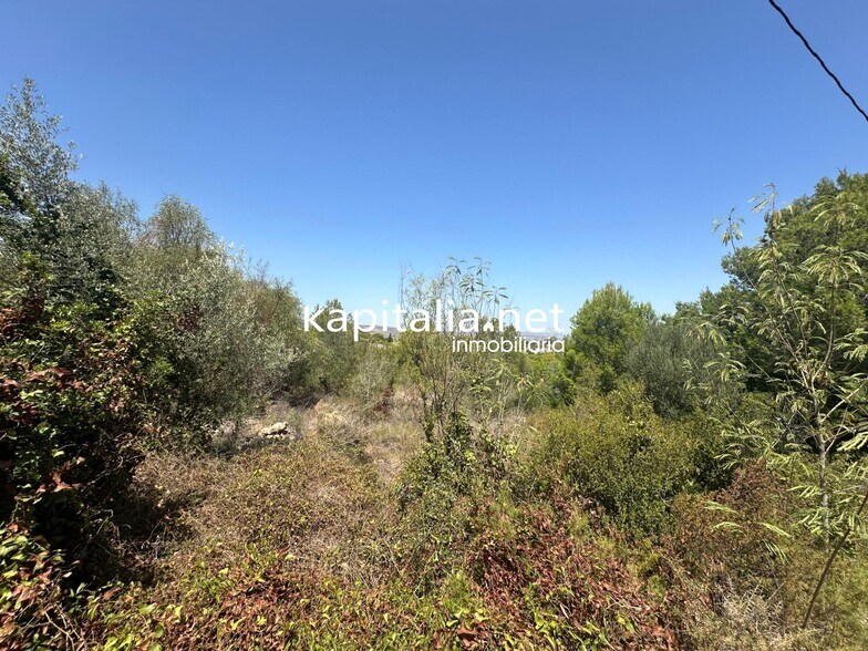 Terrain dans Alberic, Valencia à vendre - Photo principale – Image 2 sur 4