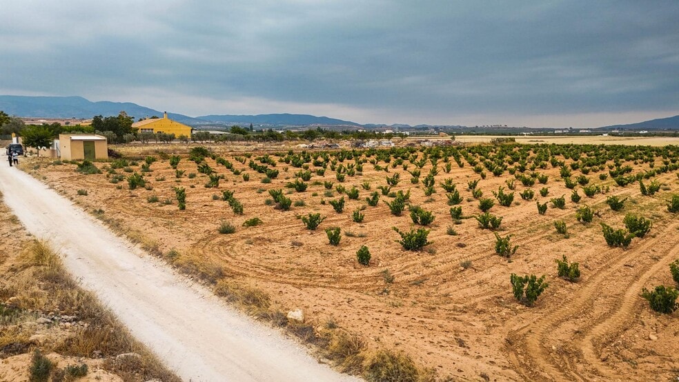 Paratge, 127, PINOSO, Alicante à vendre - Aérien – Image 3 sur 10