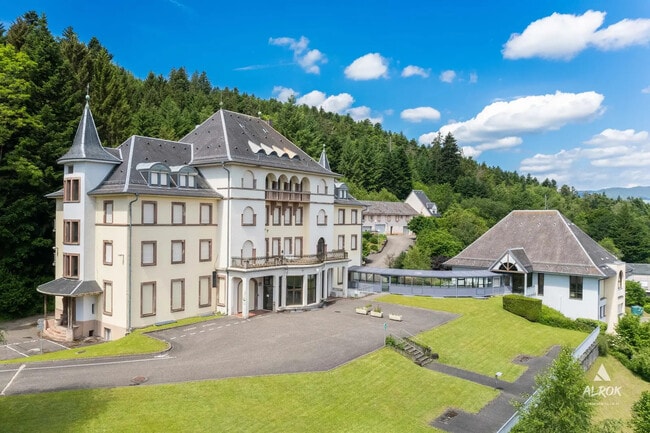 Plus de détails pour 2 Route Du Schimmel, Masevaux-Niederbruck - Bureau à vendre