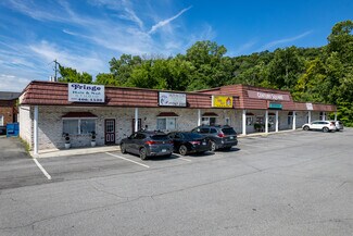 Plus de détails pour 4040 Fort Henry Dr, Kingsport, TN - Local commercial à vendre