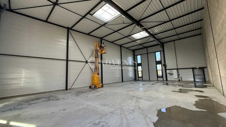 Local d’activités dans Serris à louer Photo intérieure– Image 1 sur 8